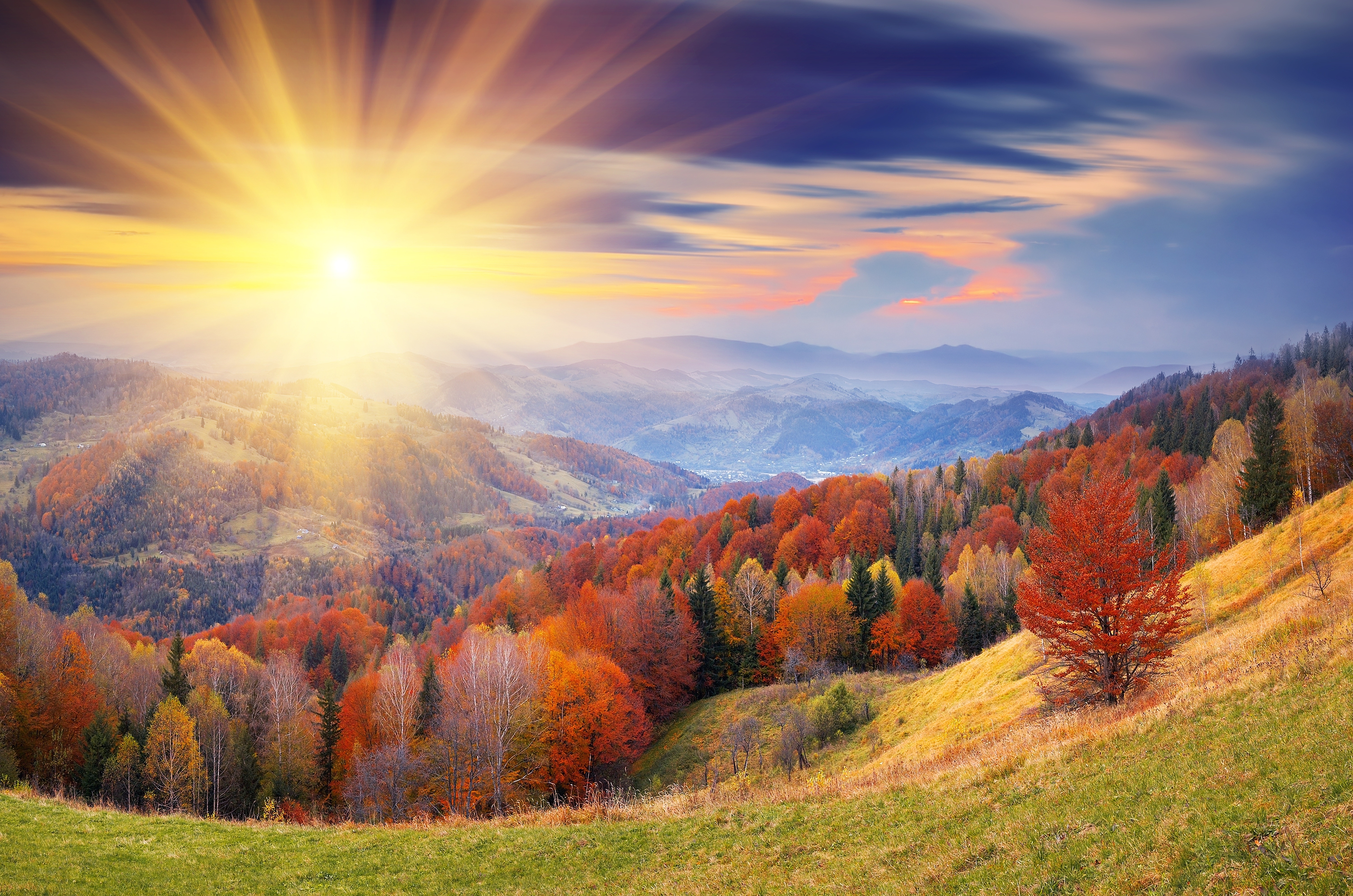 Осень Фото Красивые Природа