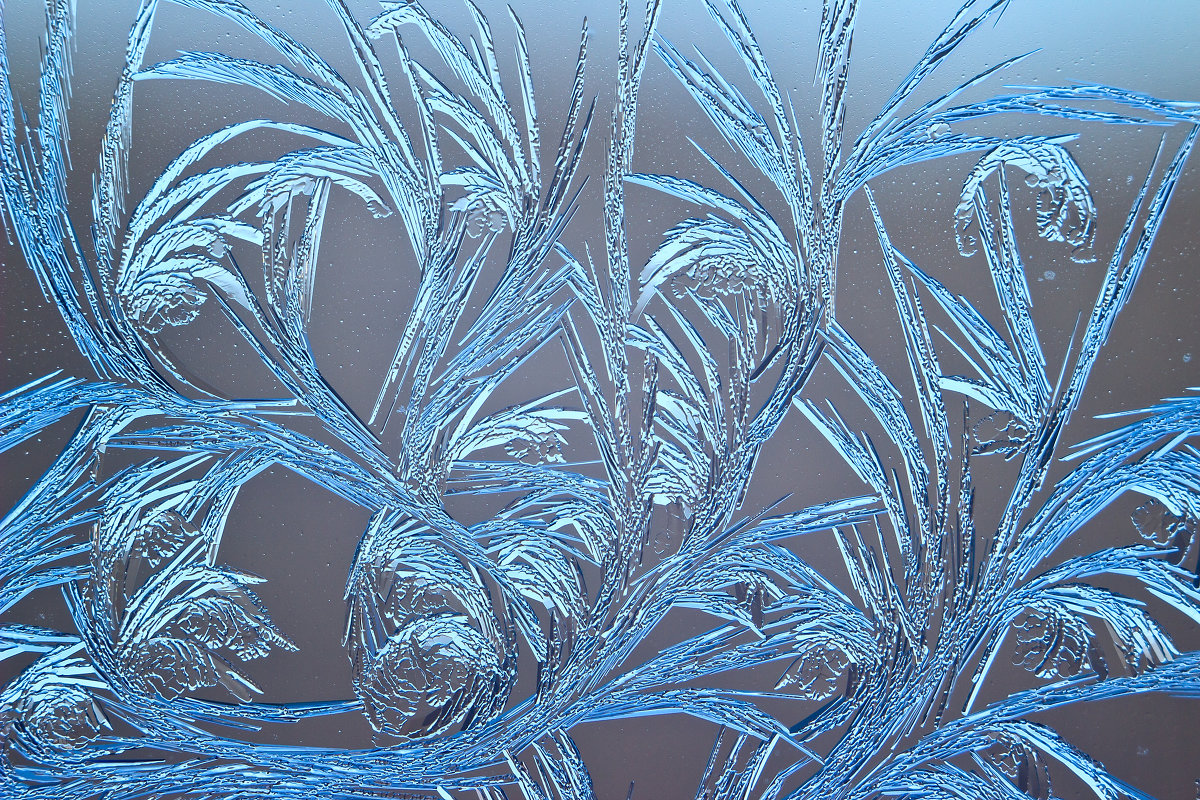 Мороз рисует на стекле узоры. Морозные узоры. Морозные узоры на окне. Морозные узоры на стекле.
