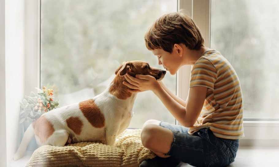 Домашние животные и их значение в развитии детей