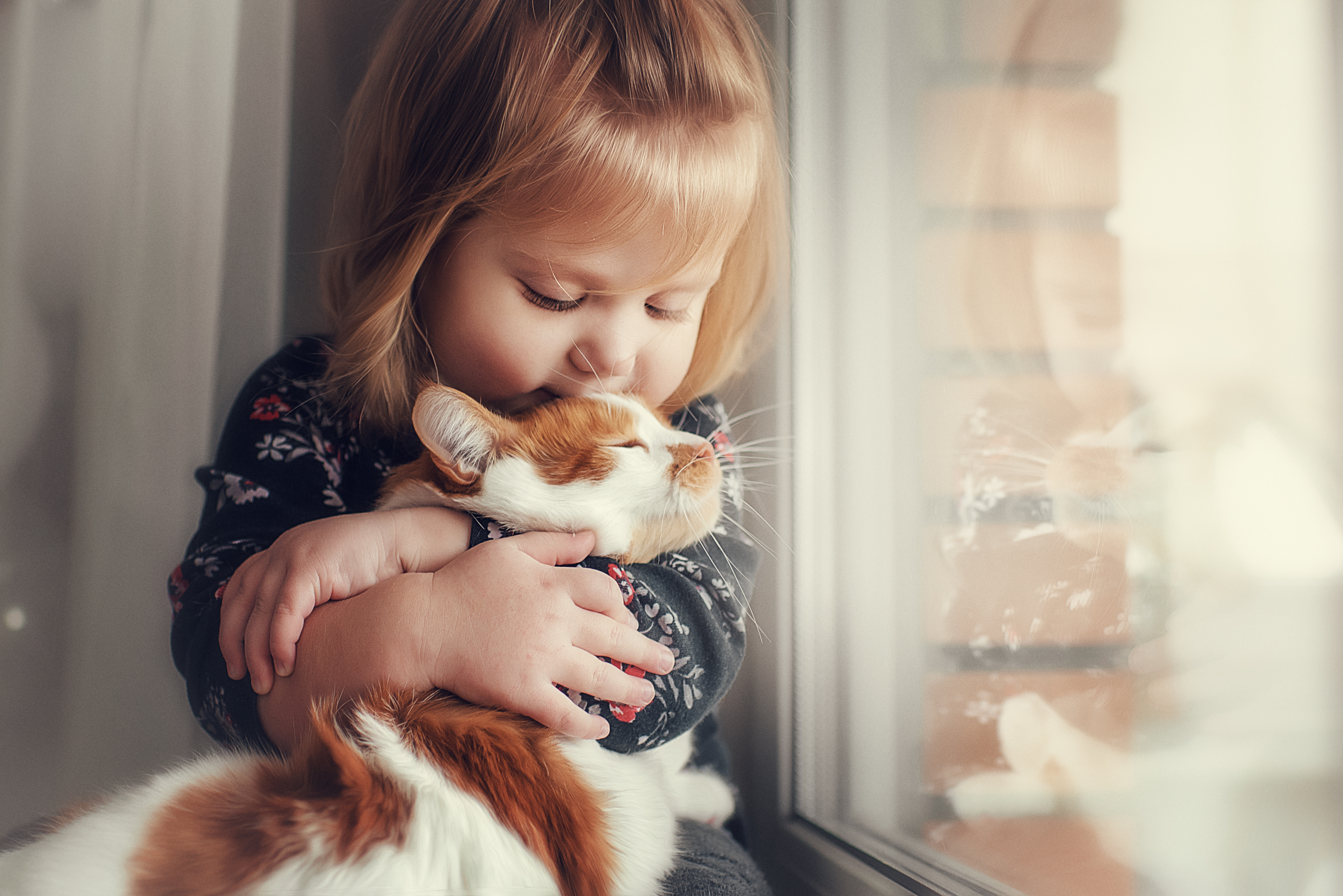 Родные милые дети песня. Для детей. Животные. Милые животные для детей. Кот обнимается с ребенком. Ребенок обнимает кота.