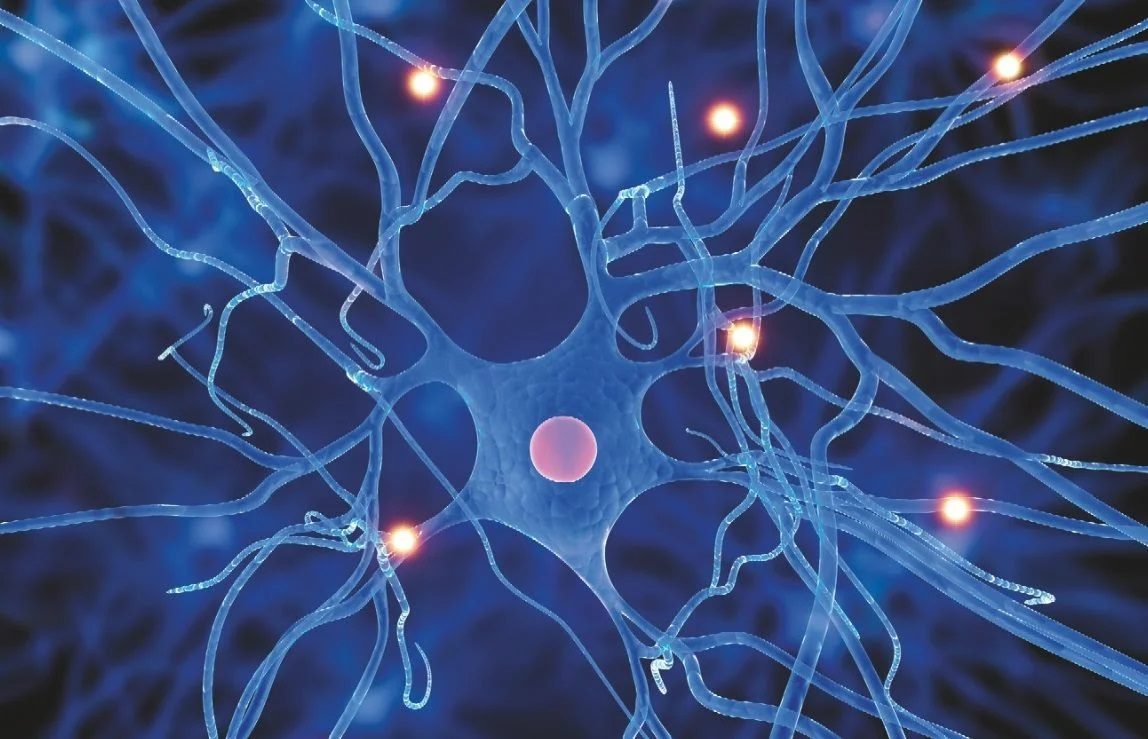 нейронные связи и наркотики