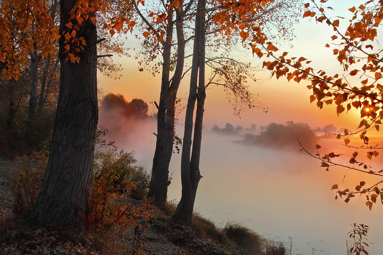Осеннее утро картинки красивые. Осень туман. Осенний туман. Осень утро туман. Осенний пейзаж туман.