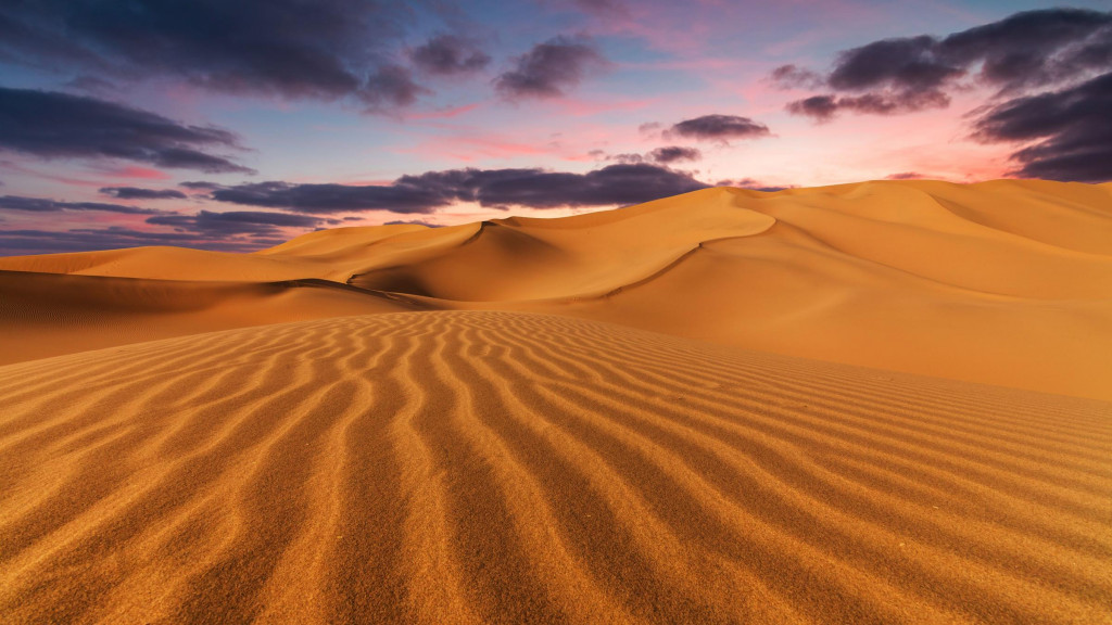 Пустыни - это красиво! (видео)