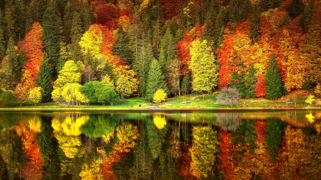 Разноцветная осень. Такого многообразия красок вы не увидите нигде!