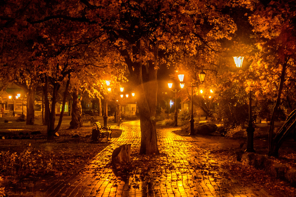 «Осень пришла!» Красивые стихи Бориса Рудина